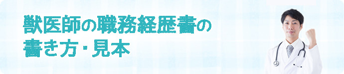 獣医師の職務経歴書