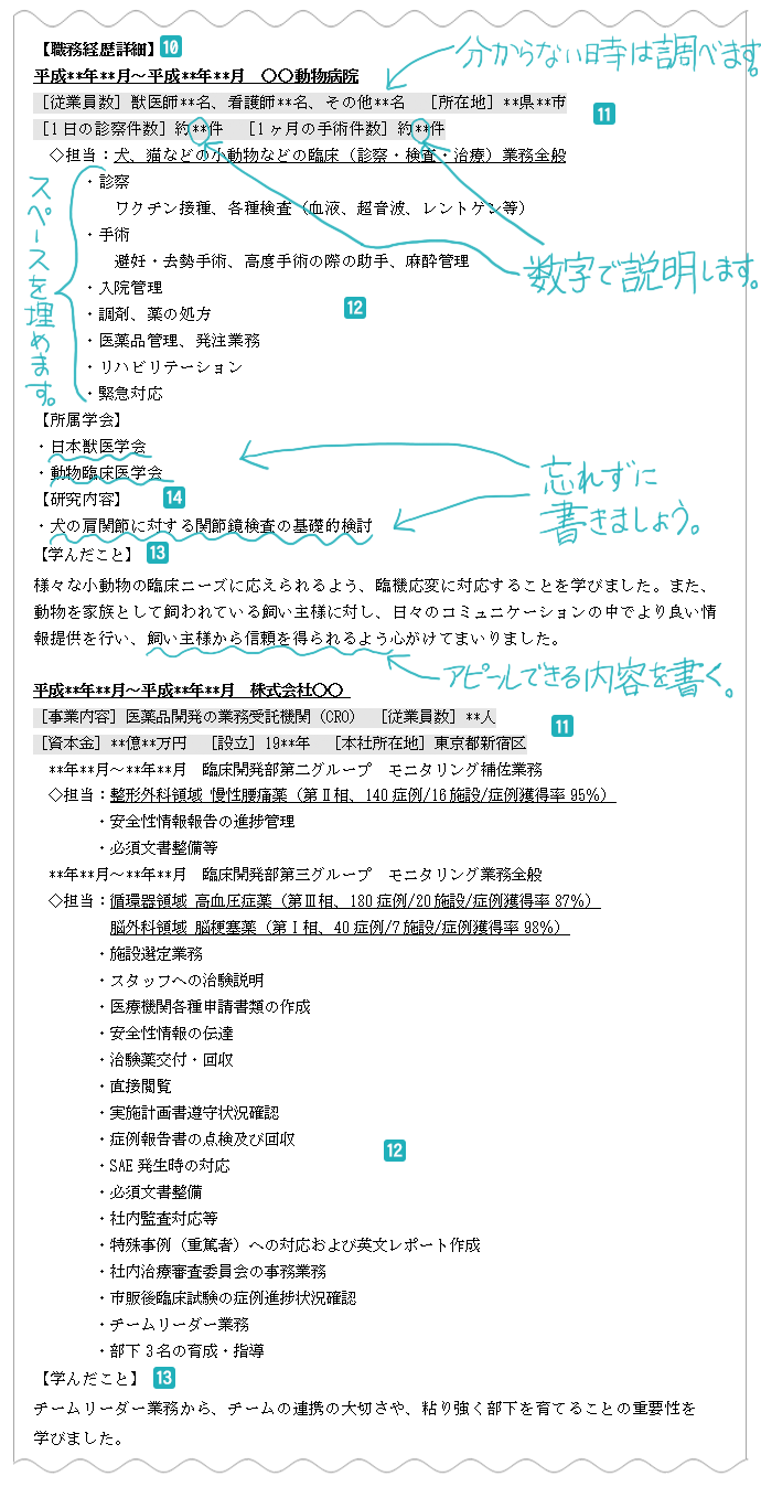 職務経歴詳細